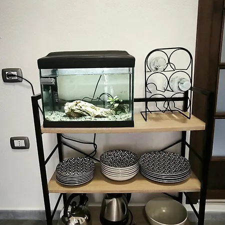 Bidda Mores Appartamenti- Il Cacciatore Appartement *